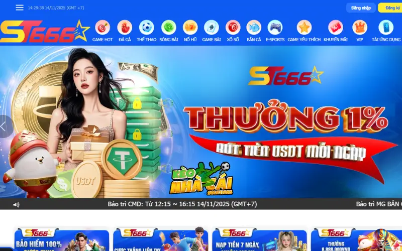 Nhà cái bóng đá ST666